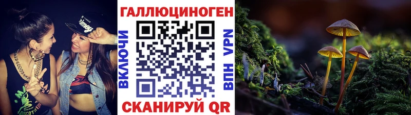 Псилоцибиновые грибы мицелий даркнет сайт Сольцы